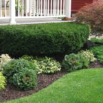 How to Create Natural Edging - Beyond Behnk