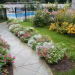From Yard to Garden: Backyard Landscaping for Beginne