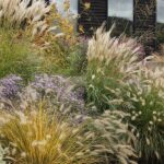 Landscape Design with Ornamental Grasses: Top 5 wa