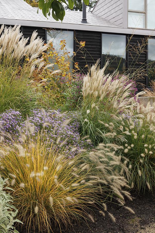 The Beauty of Varying Greenery: Landscaping with Different Types of Grasses