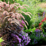 Ornamental Grasses for Your Landscape | Platt Hill Nursery | Blog .