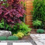How to Choose the Right Maple Tree for Your Chicago Landscape .