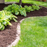 When Is the Right Time to Mulch? - Acer Landscape Services .