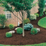 Landscaping Tips – 6 Reasons Why Mulching is So Important For the .