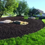 GARDENING INFO FROM DOUG - How to Apply Mulch Correct