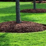 What is Mulching? How to Mulch your Garden? | Green Gold Landscapi