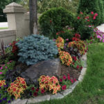 7 Landscaping Ideas on a Budget - Great Goats LandscapingGreat .