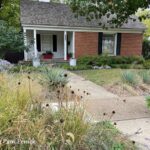 Jay's front-yard garden of native plants in Dallas - Diggi