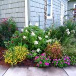 Refresh Your Front Yard Landscape | Lifescape Colora