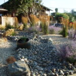 Houston River Rocks - Landscaping Trends in Texas with Beach Pebbl