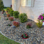 Rock and plants – Garden Bi