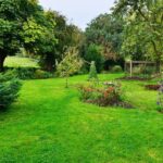 Choosing the Right Landscaping Trees for Your Home | Millcreek Garde