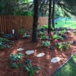 Beautiful Landscaping Ideas for Pine Tre