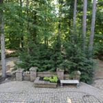 Ideas for landscaping under pine tree