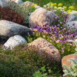 Use Boulders for Landscaping for an Exciting New Look - Utah .