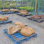 Landscaping Boulders - Outdoor & Lawn Construction - Tampa Bay