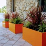 Landscaping with Potted Plants – Pro Design Tips & Top Outdoor .