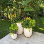 Landscaping With Potted Plants | The Family Handym