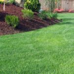 Knowing the Difference Between Landscape and Lawn Care Services .