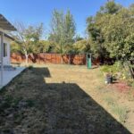 Need cheap landscaping ideas for large backyard : r/landscapi