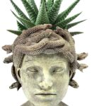 Amazon.com : Medusa Head Planter, Large Solid Stone Face Planter .