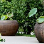 Large Garden Palm Pots | Massive Old Stone Pots | Rustic Thai .