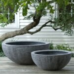 textured concrete bowl planter | Large garden planters, Large .