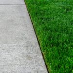 Reasons Why You Should Have Your Lawn Edg