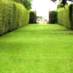 How to cope with long narrow garden - ideas from ALDA LAndscap