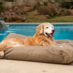 Snoozer Waterproof Rectangle Dog Bed | Outdoor Dog B