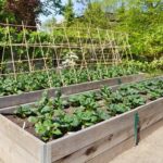 Outdoor Planter Boxes | Patio Garden in Raised Garden Box