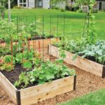 Amazon.com: Gardener's Supply Company Cedar Raised Garden Bed .