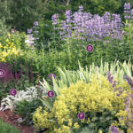 Two Stunning Ideas for Your Summer Perennial Garden Bed | Garden Ga