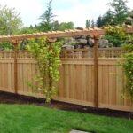 love the lattice over top of privacy fence | Backyard fences .