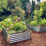 10 Raised Bed Garden Ideas | The Family Handym
