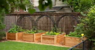 The Complete Guide to Raised Beds • Gardena