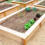 Dammann's Garden Company – DIY Series: Raised Garden Be