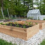 How to Build a Beautiful Raised Garden Bed in 5 Easy Ste