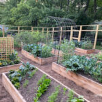 How to Make a New Raised Bed Garden Step-by-St