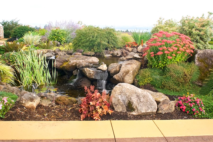 Creating a Beautiful Rock Garden: A Guide to Designing Your Perfect Outdoor Oasis