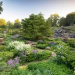Chatsworth: a Victorian rock garden reimagined - Gardens Illustrat