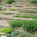 6 Best Rock Garden Ideas - Yard Landscaping with Roc