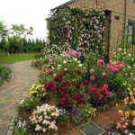 11 Beautiful Rose Garden Designs for Small Ya