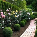 40 Amazing Rose Garden Ideas For Your Backyard | Decor Home Ide