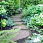 Shade Garden Design Ideas (How To Design A Stunning Shade Garden .