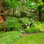 Shade Gardens: Ideas, Design & Inspiration | Garden Desi