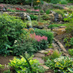 Shade Garden Design Tips | Garden Ga