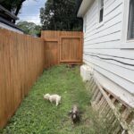 Landscaping ideas? I hate mowing the side yard & we want to .