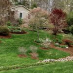 Sloped Front Yard | North Carolina Extension Gardener Plant Toolb