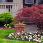 Landscaping Tips for a Small Front Yard | LeafFilt